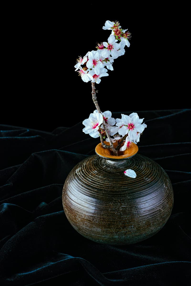 Ikebana master demonstrating a seasonal arrangement