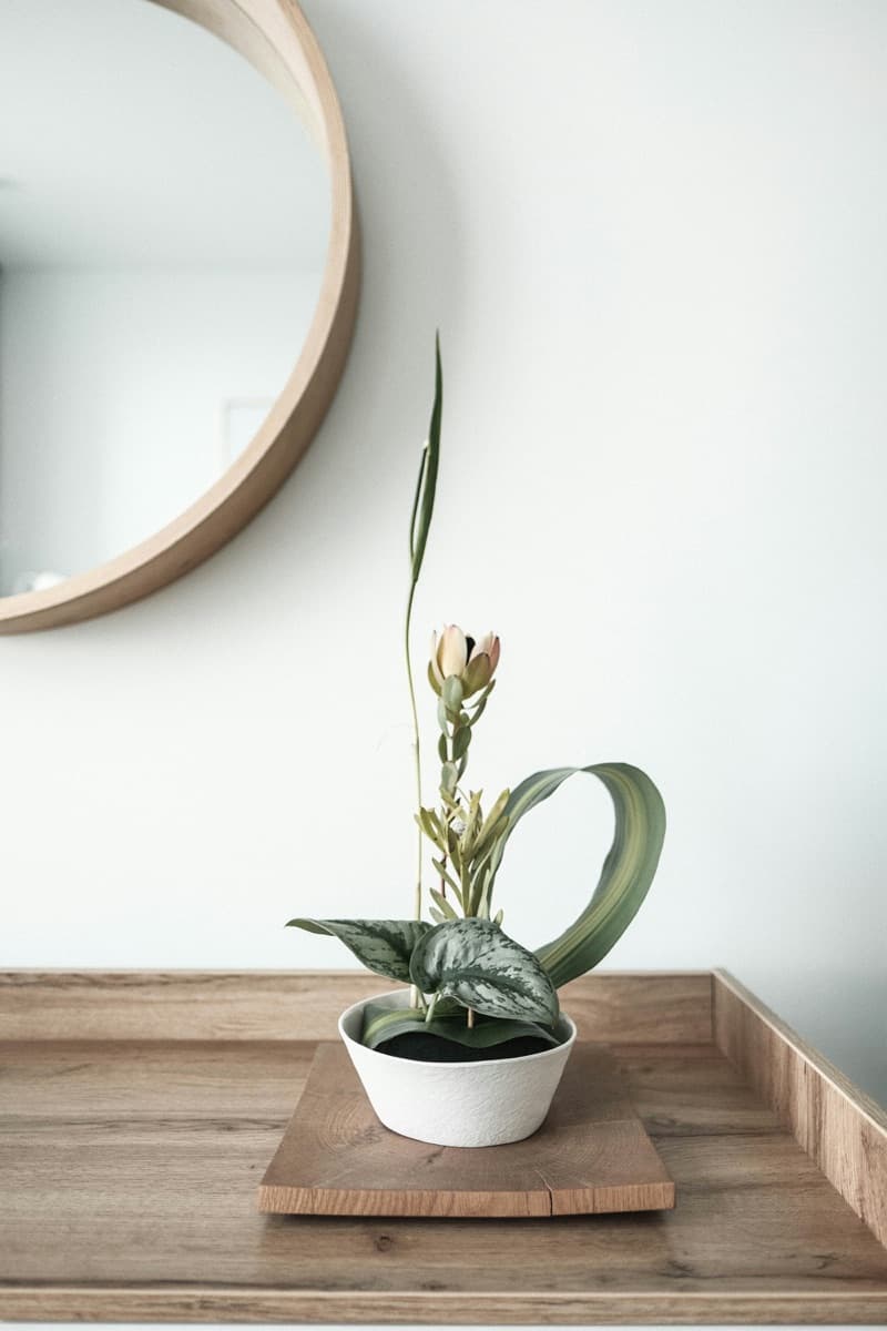 Completed ikebana arrangement with seasonal branches