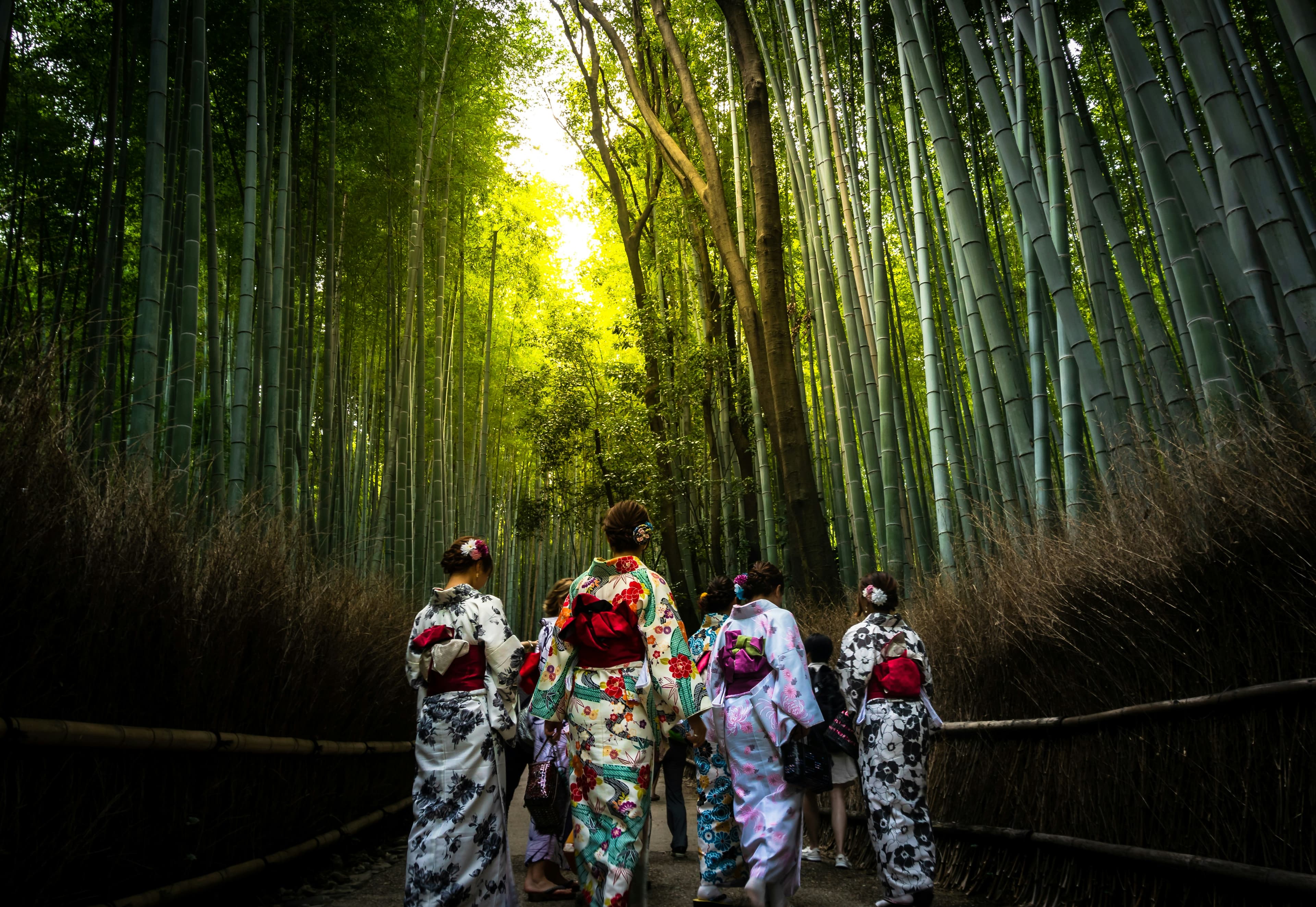 Mizuki Travel guide