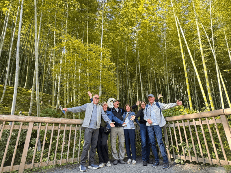Bamboo Grove, Kyoto