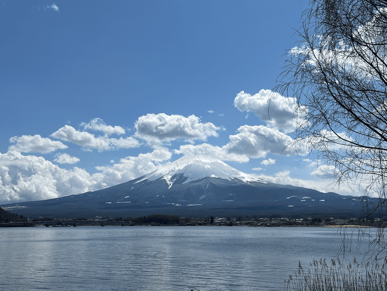 Fuji Reflections