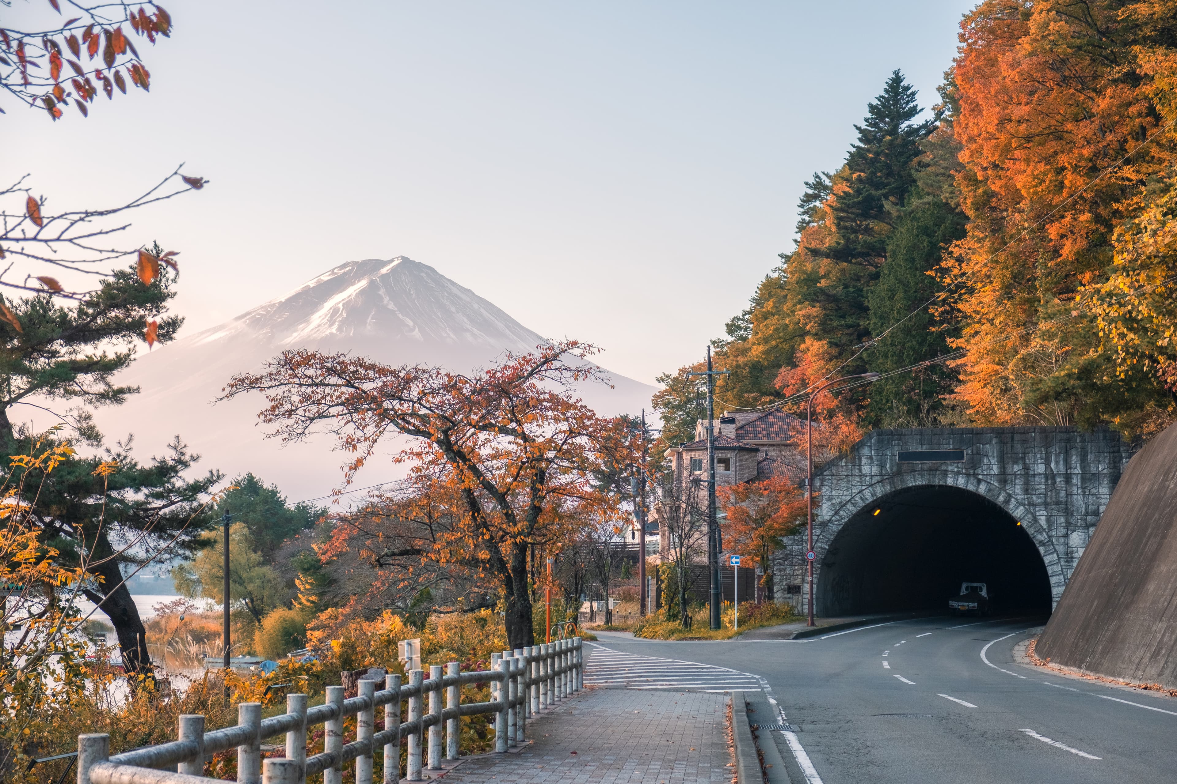 Mount Fuji with autumn forest