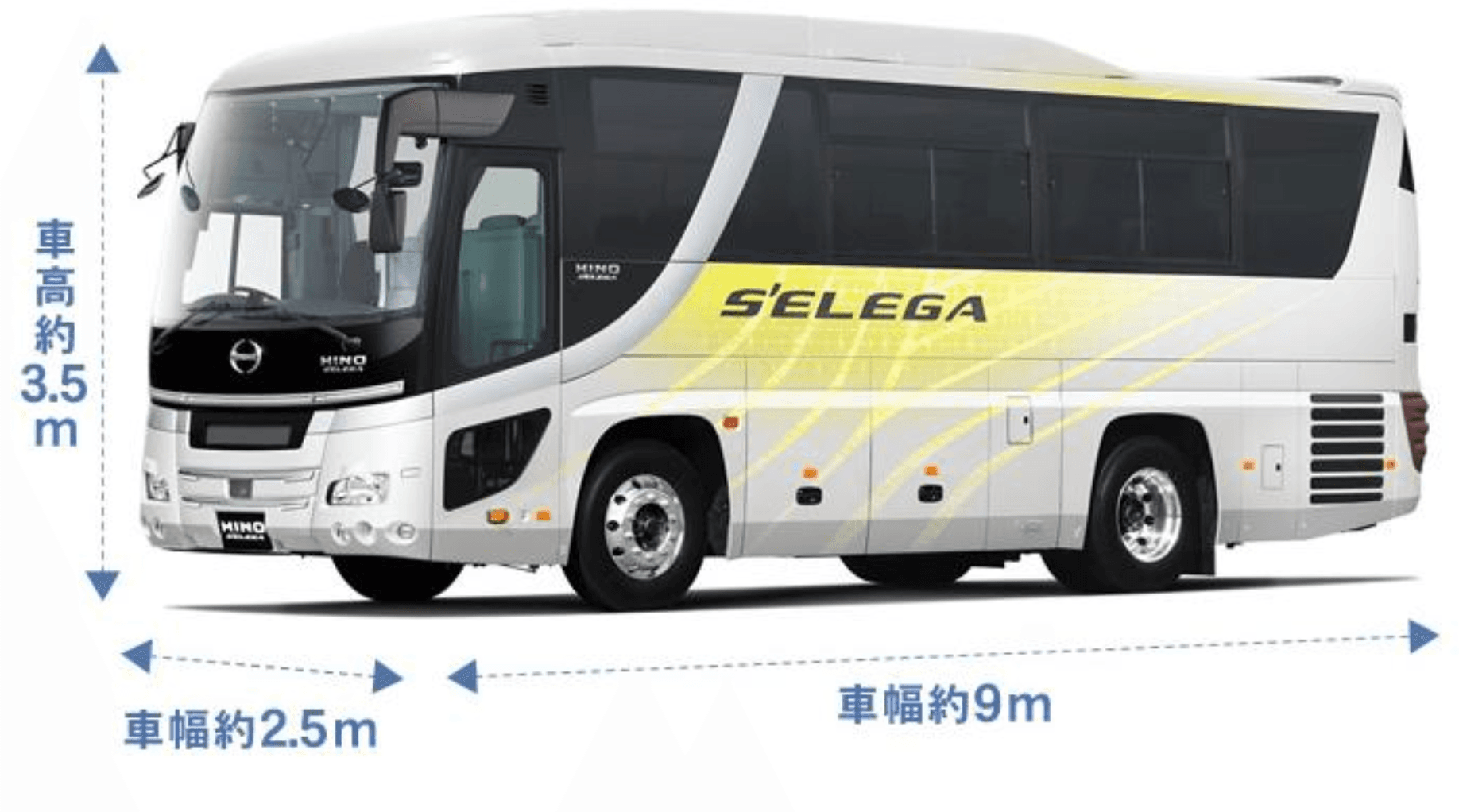 Medium Coach